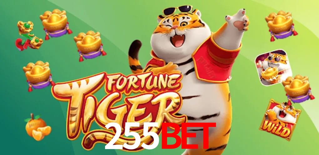 Experiência VIP 255bet