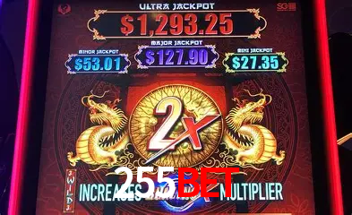 A Experiência Imersiva dos Cassinos Ao Vivo no 255bet